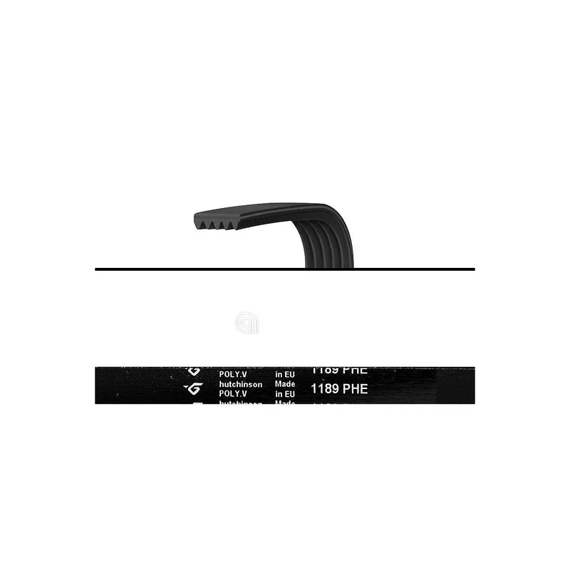 ELECTROLUX UNIVERSAL - Antriebsriemen Waschmaschine - AST-00126648