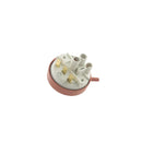 Originaler Druckschalter für Electrolux Geschirrspüler, Codes 1526370117