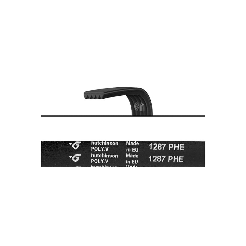 ELECTROLUX, WHIRLPOOL, AEG, INDESIT - Waschmaschinenriemen 1287 H8 - 1326721006