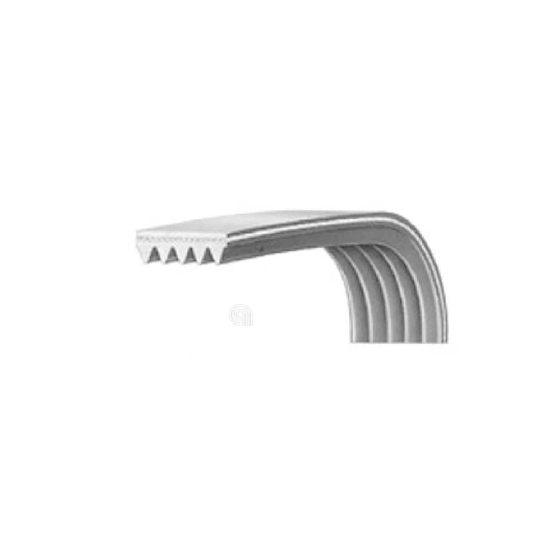 BOSCH SIEMENS BALAY - Elastischer Poly-V-Antriebsriemen J5 1189 - 00660579