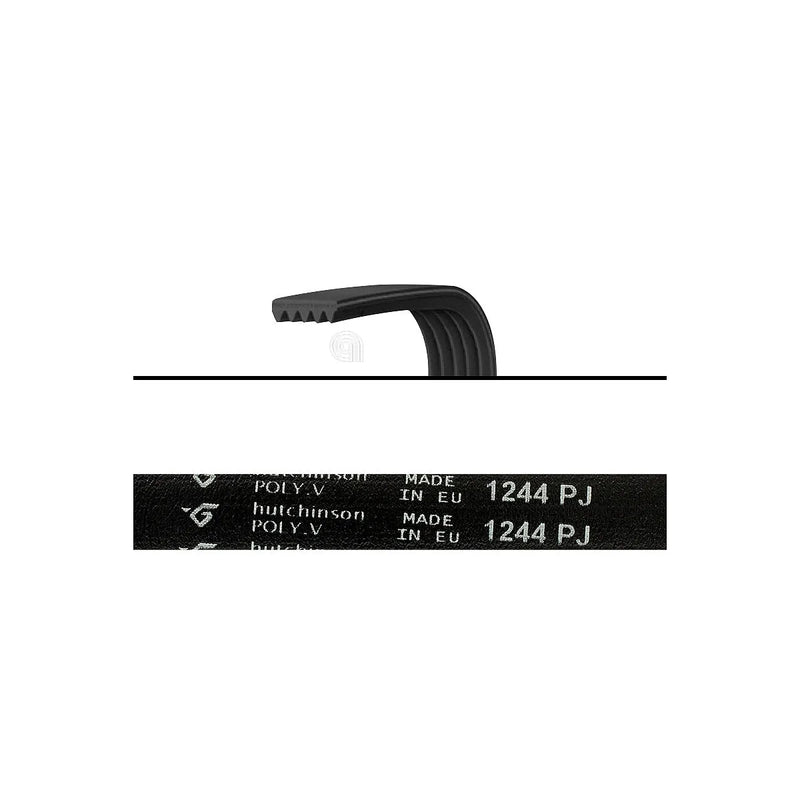 WHIRLPOOL, INDESIT, GORENJE - Poly-V-Riemen J5 für Waschmaschine - 1244J5