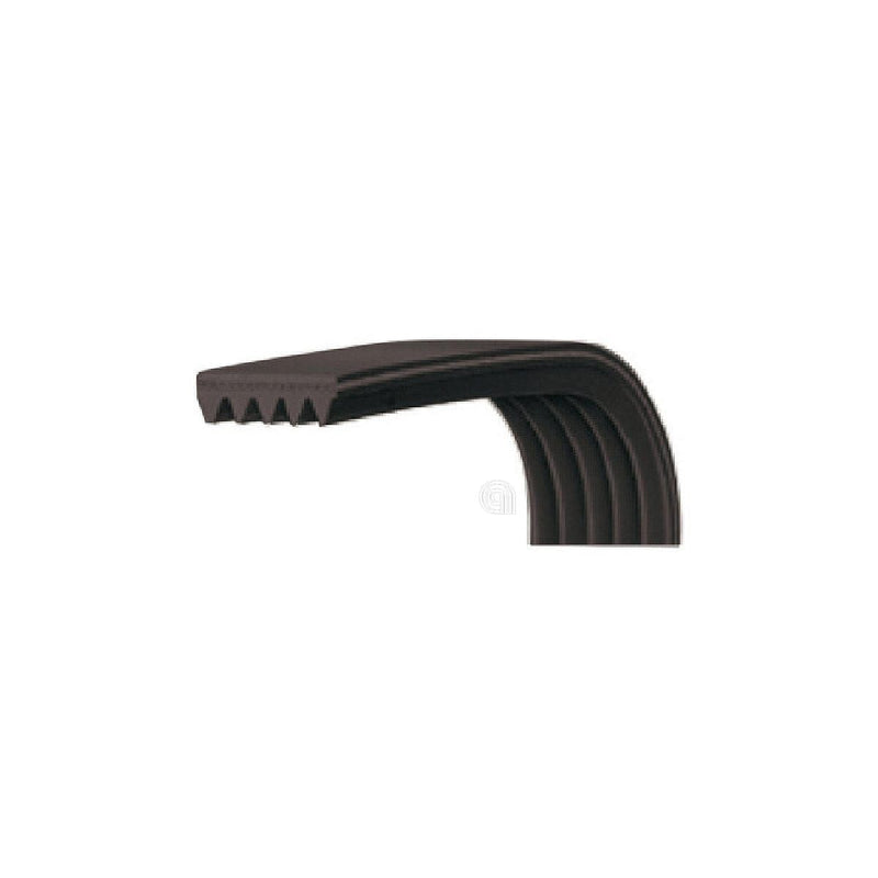 Correa J3 1242 Poly-V für Beko Waschmaschine Original 2834590100