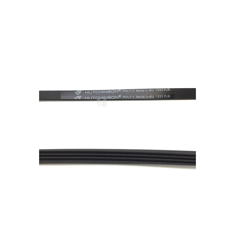 ELECTROLUX, ZANUSSI, BRANDT, FAGOR - Waschmaschinenriemen - 1290775806