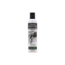 Desinfektionsspray für Filter und interne Teile Tekna Climacare 55101045