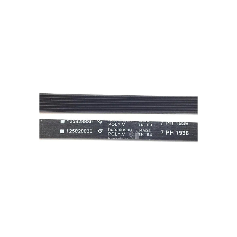 Poly-V Trocknerriemen H7 1936 Original Electrolux 1258288305