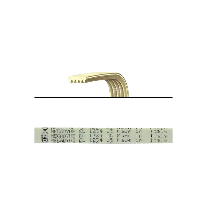 CANDY - Elastisches Band J5 1234 für Waschmaschine - AST-00126440