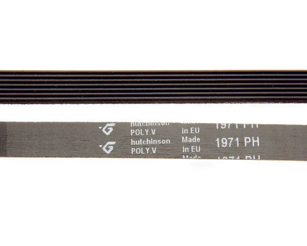 AEG Trocknerriemen | 1366033007