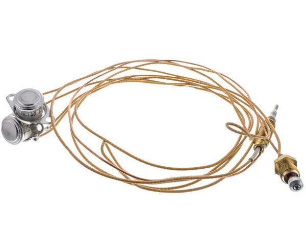 Cointra Thermoelement Kessel 6058