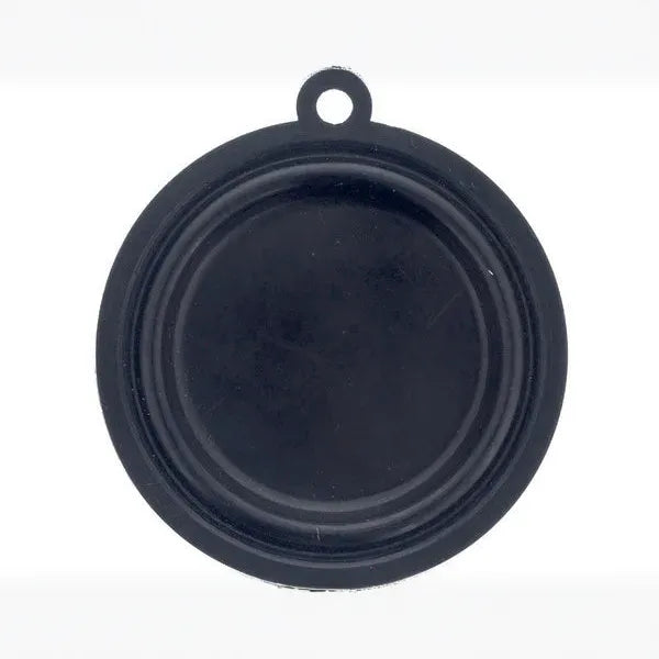 Membrana para calentador Cointra 398C0221 recambio original