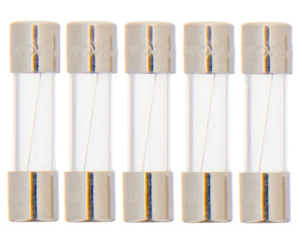 SAUNIER DUVAL Kesselsicherung 4,00 A | 056514