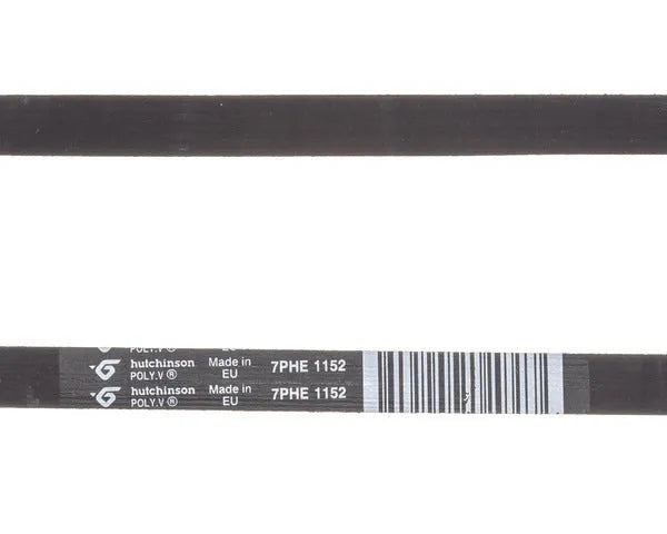 FAGOR Waschmaschinenriemen as0003721 | AS0003721