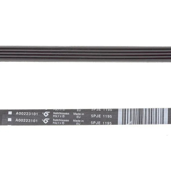 Correa para lavadora Electrolux 140002231011 5PJE 1195 mm