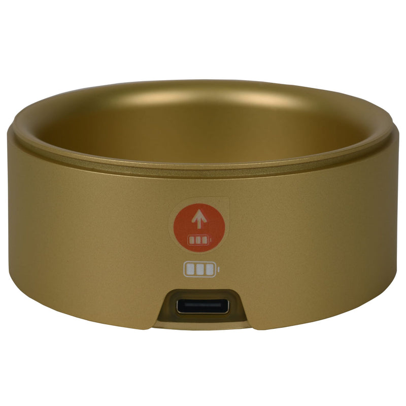 Ladestation Rowenta SS-1810002004